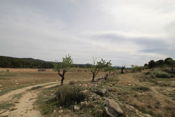 Image No.24-1 Bed Country House for sale