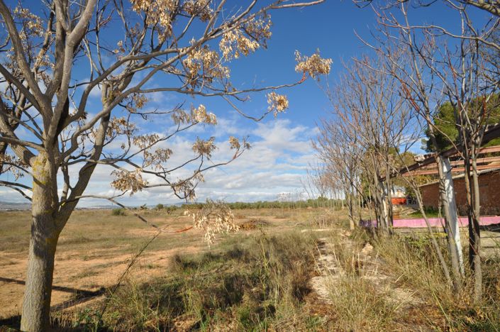 Image No.28-Country House for sale