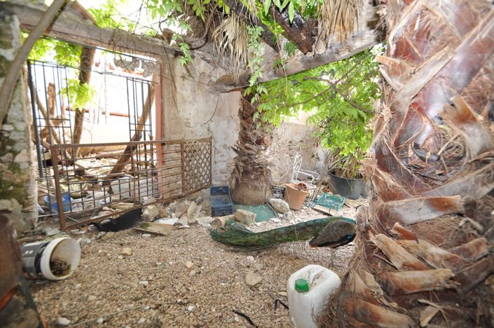 Image No.18-15 Bed Country House for sale