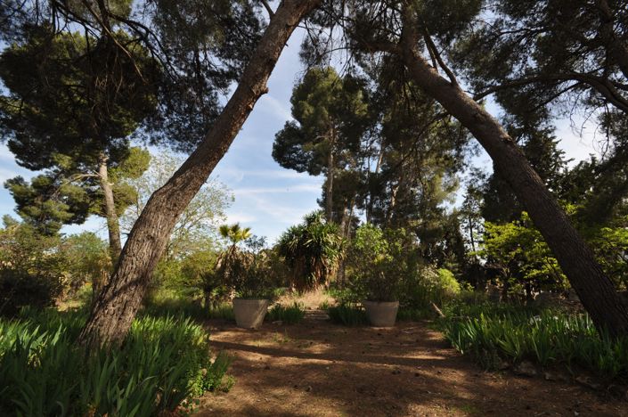 Image No.35-15 Bed Country House for sale