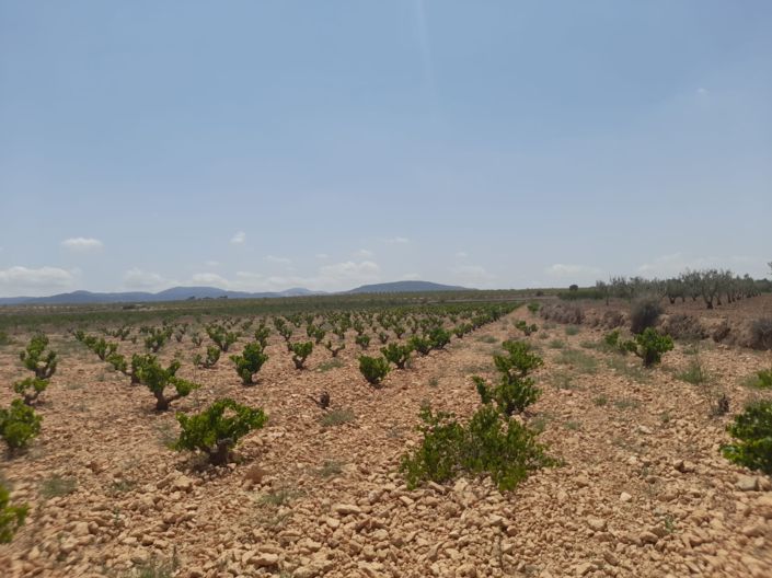 Image No.1-Land for sale