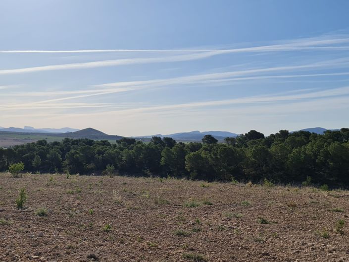 Image No.28-Land for sale