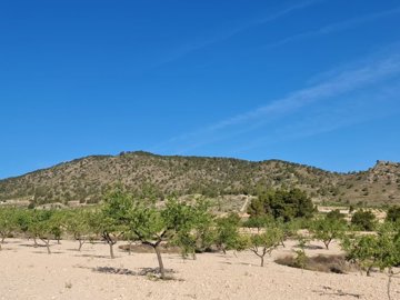 d67155f340567167155f34056b8