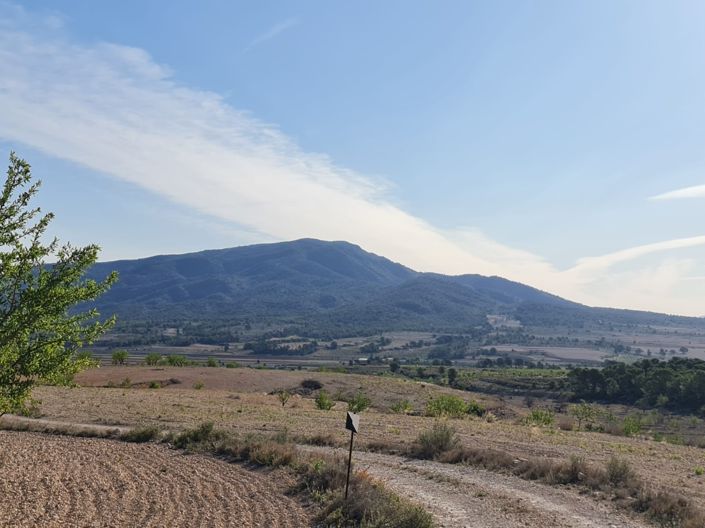 Image No.8-Land for sale