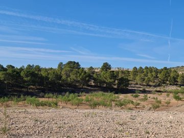 d67155f060ec7167155f060ece6