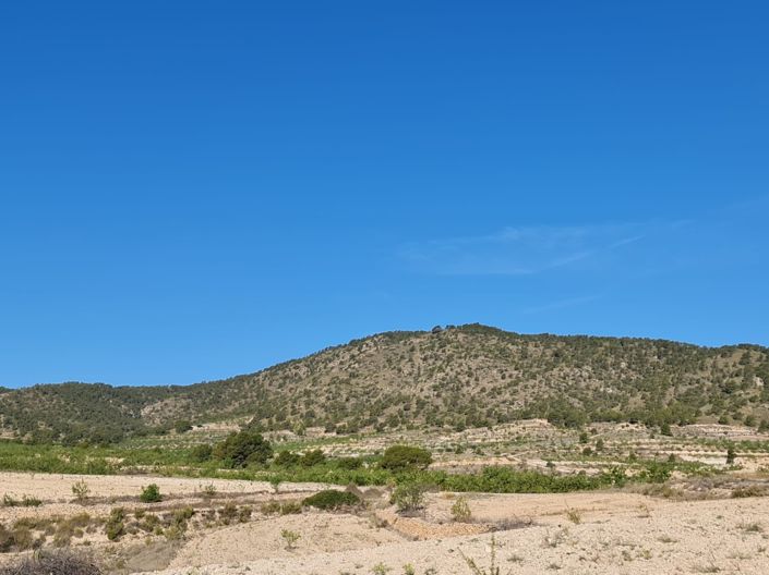 Image No.5-Land for sale