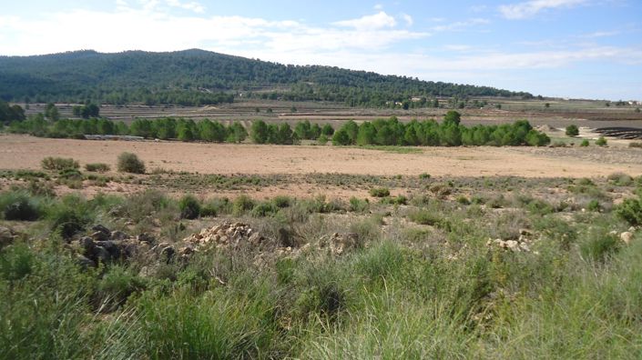 Image No.1-Land for sale