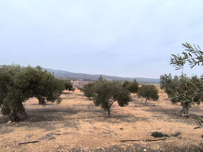 Image No.1-Land for sale