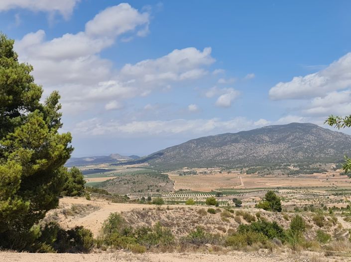 Image No.12-Land for sale