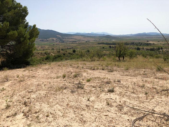 Image No.15-Land for sale