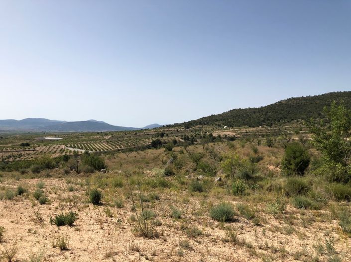 Image No.21-Land for sale