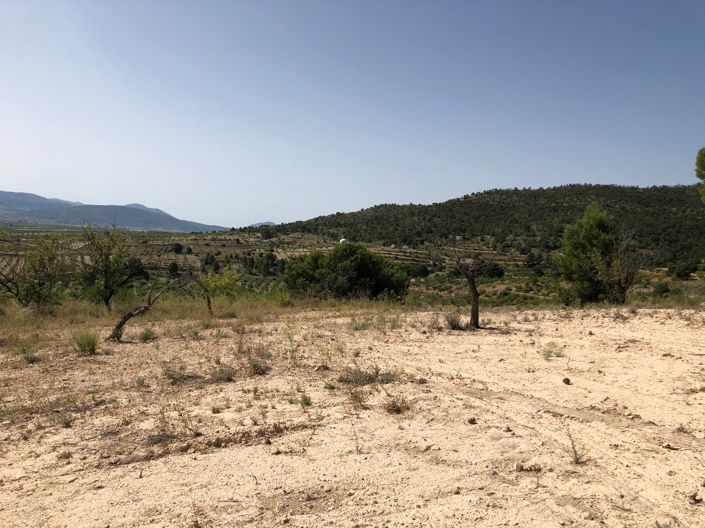 Image No.22-Land for sale