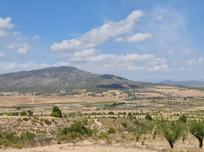 Image No.28-Land for sale