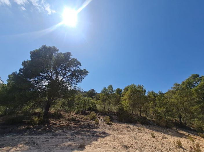 Image No.4-Land for sale