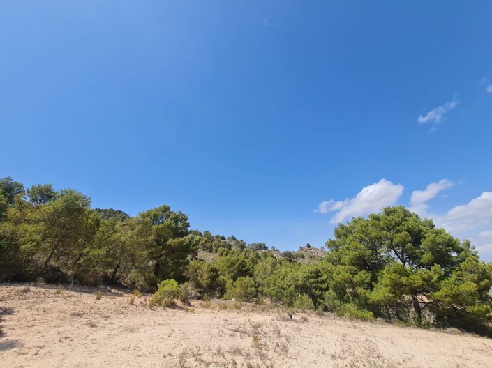 Image No.9-Land for sale