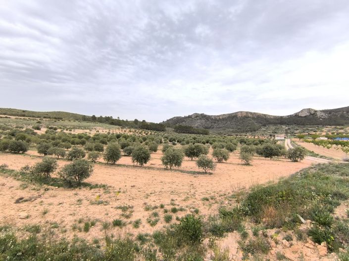 Image No.2-2 Bed Country House for sale