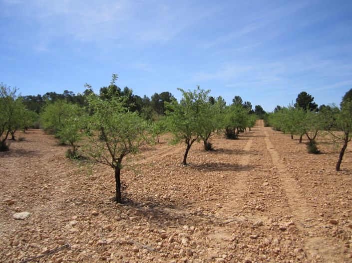 Image No.1-Land for sale