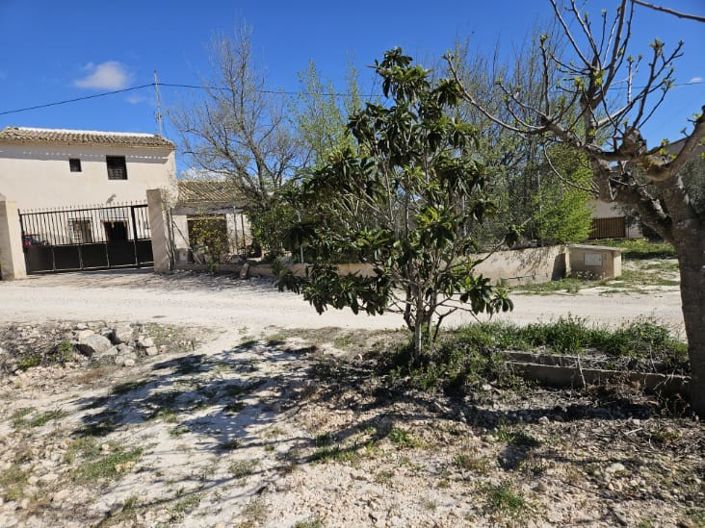 Image No.34-5 Bed Country House for sale