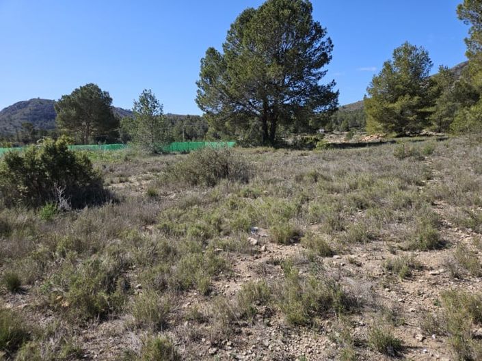 Image No.41-5 Bed Country House for sale