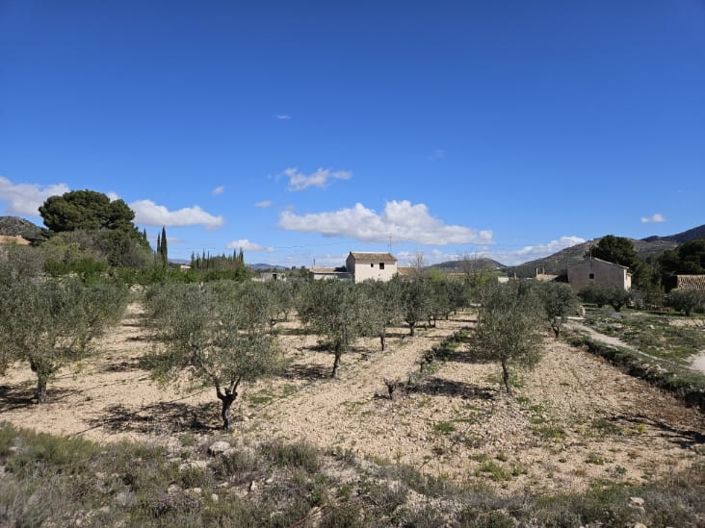 Image No.48-5 Bed Country House for sale