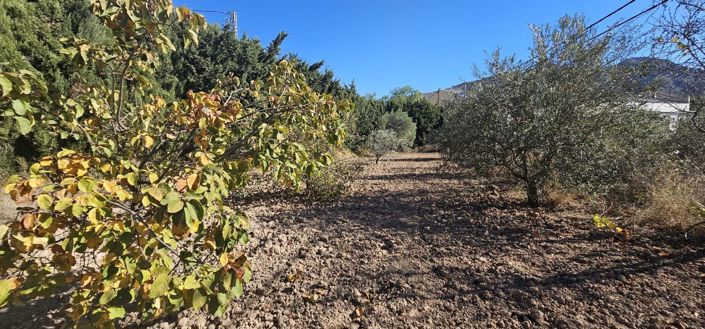 Image No.47-2 Bed Country House for sale