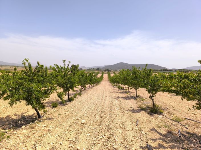 Image No.1-Land for sale