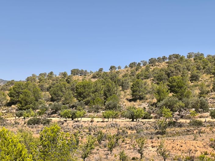 Image No.1-Land for sale