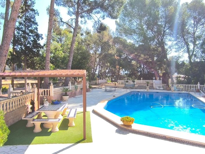 Image No.39-10 Bed Villa for sale