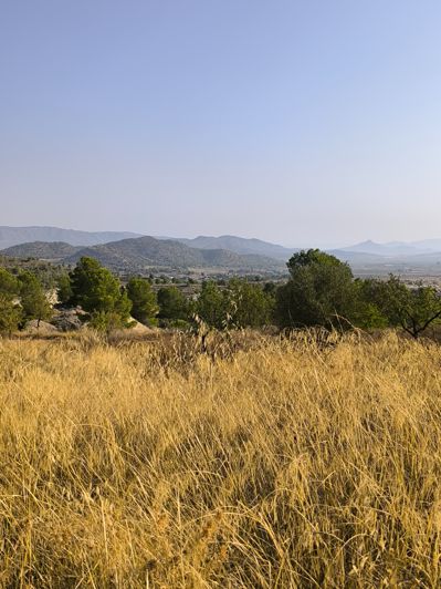 Image No.49-Property for sale