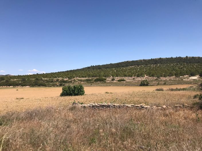 Image No.17-8 Bed Country House for sale