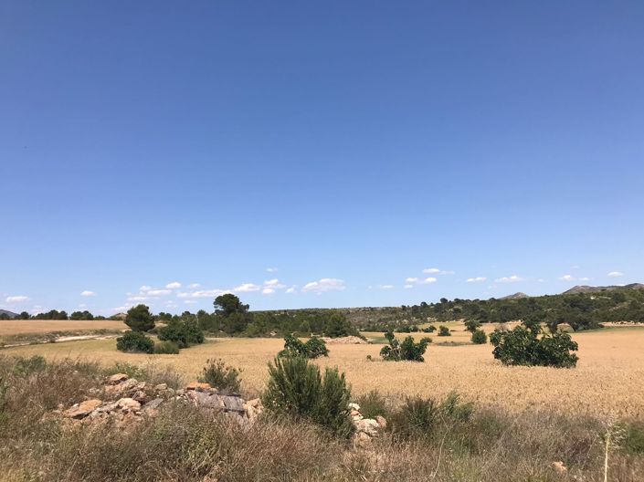 Image No.18-8 Bed Country House for sale