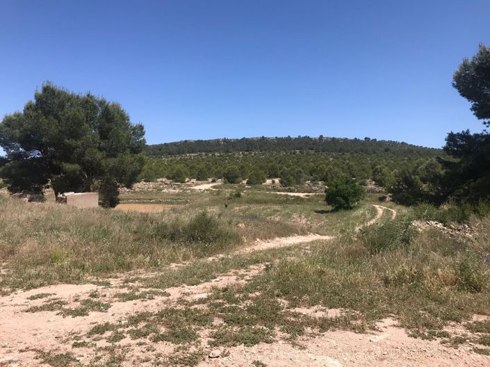 Image No.20-8 Bed Country House for sale