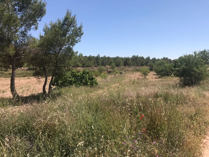 Image No.21-8 Bed Country House for sale