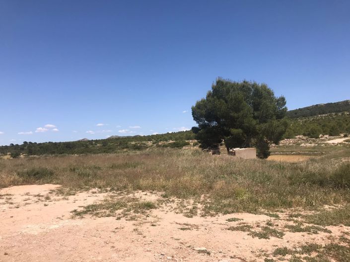 Image No.23-8 Bed Country House for sale