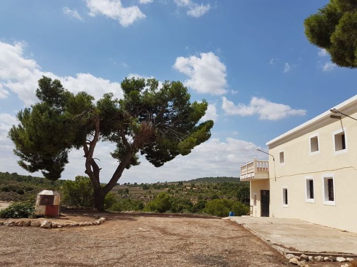 Image No.3-8 Bed Country House for sale