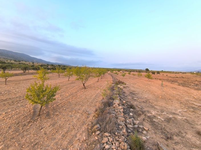 Image No.2-Land for sale