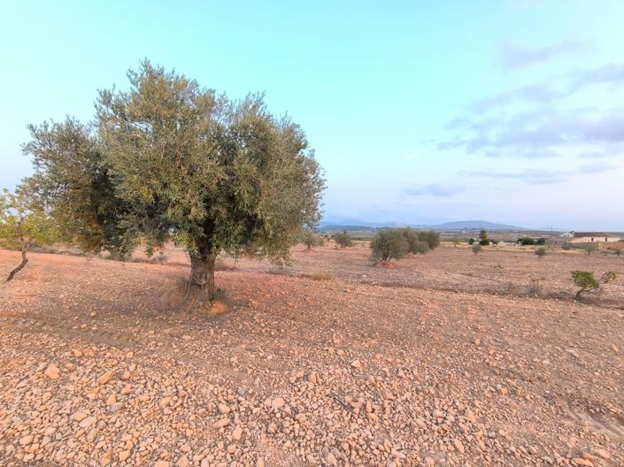 Image No.5-Land for sale