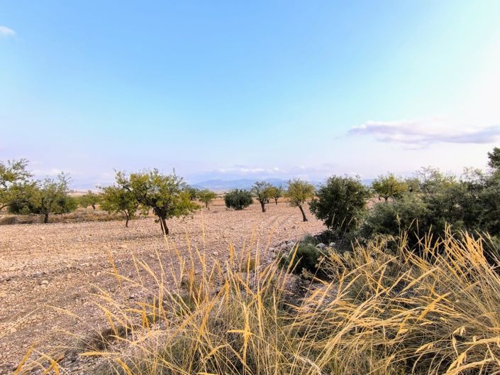 Image No.1-Land for sale