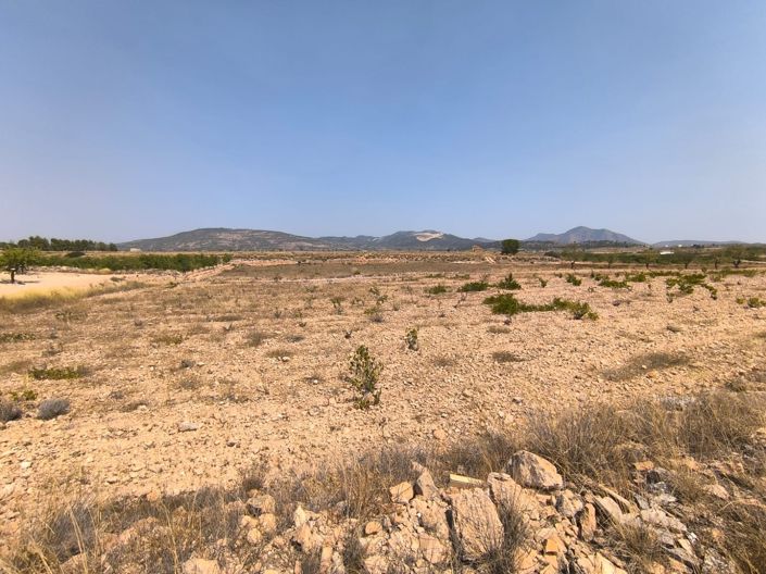 Image No.1-Land for sale
