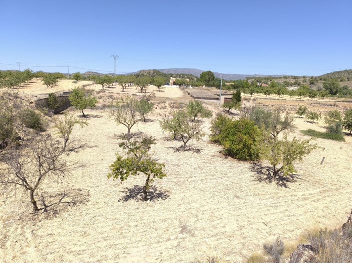 Image No.11-3 Bed Property for sale