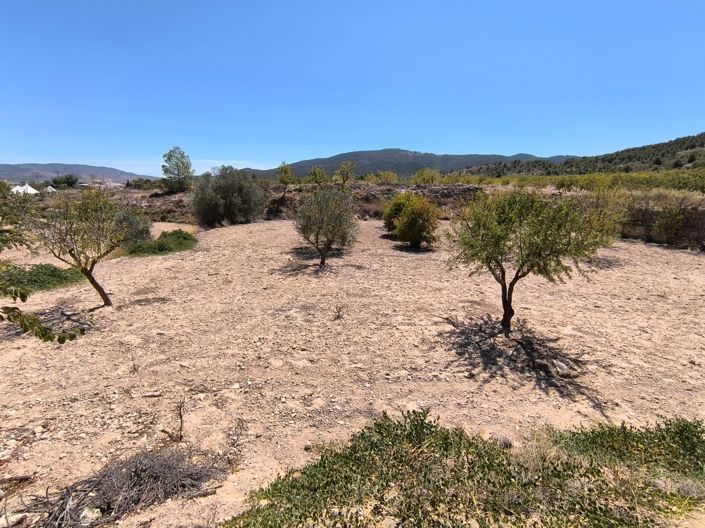 Image No.13-3 Bed Property for sale