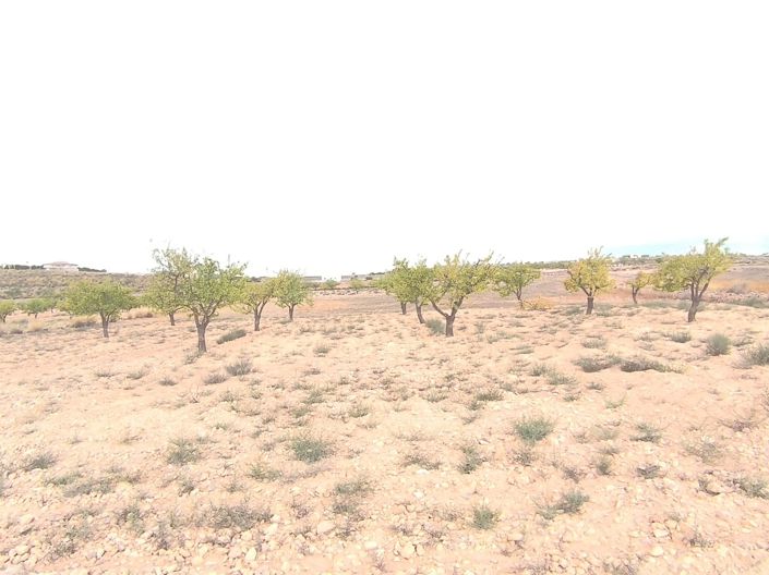 Image No.2-Land for sale