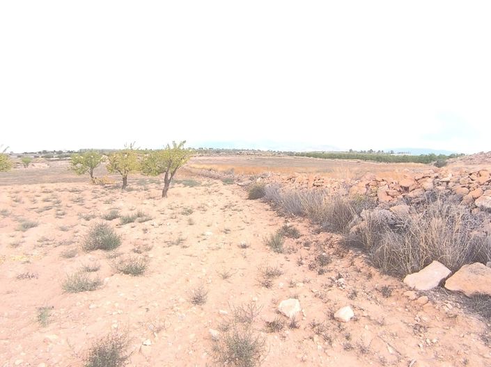 Image No.3-Land for sale