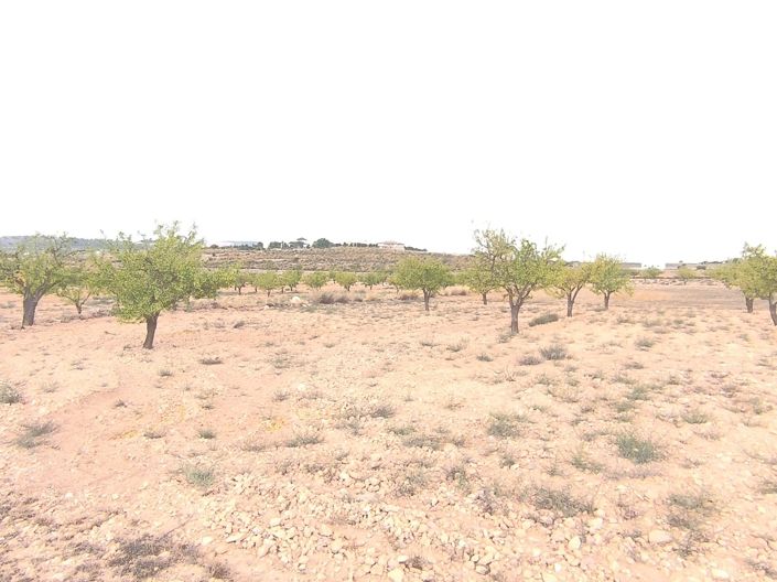 Image No.4-Land for sale