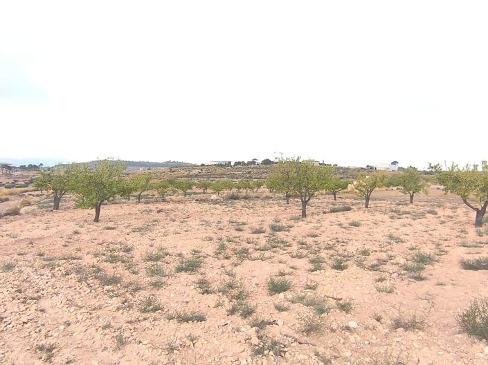 Image No.5-Land for sale