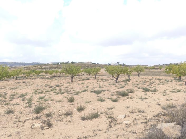 Image No.6-Land for sale