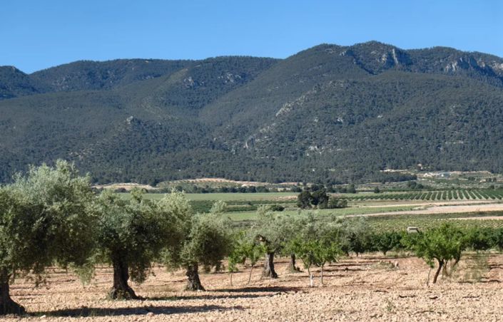 Image No.12-2 Bed Country House for sale