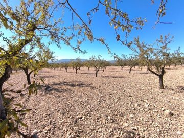 o1j4qi94kq1pn2iv419coecf193r1h