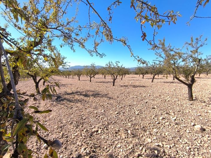 Image No.4-Land for sale