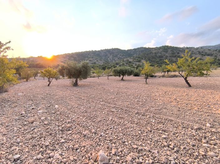Image No.1-Land for sale